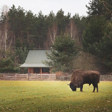 Vila Lesna 21 Dom Polnoc Przy Zalew Siemianowka Luka Exteriér fotografie