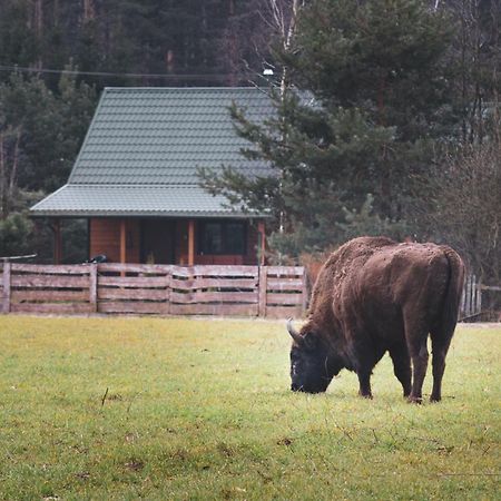 Vila Lesna 21 Dom Polnoc Przy Zalew Siemianowka Luka Exteriér fotografie