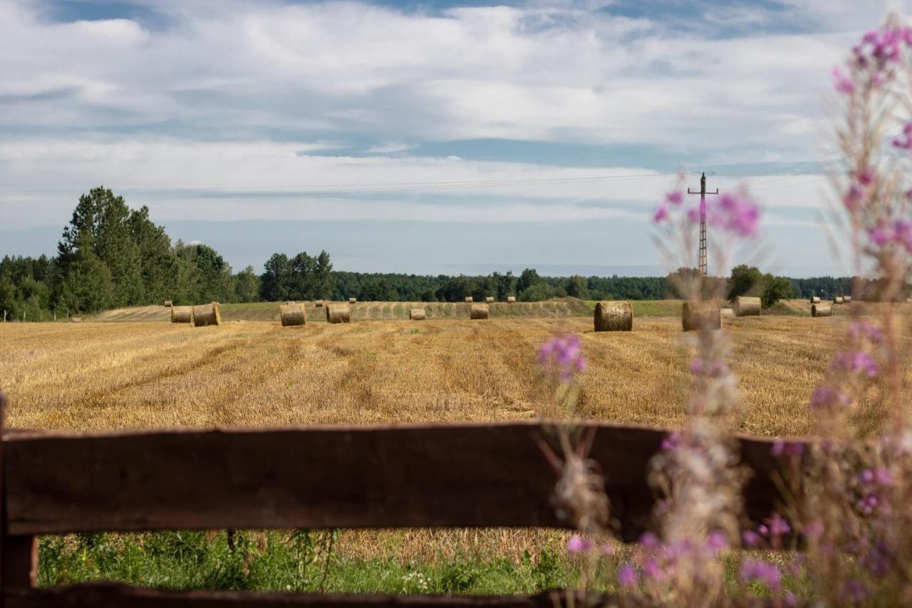 Vila Lesna 21 Dom Polnoc Przy Zalew Siemianowka Luka Exteriér fotografie