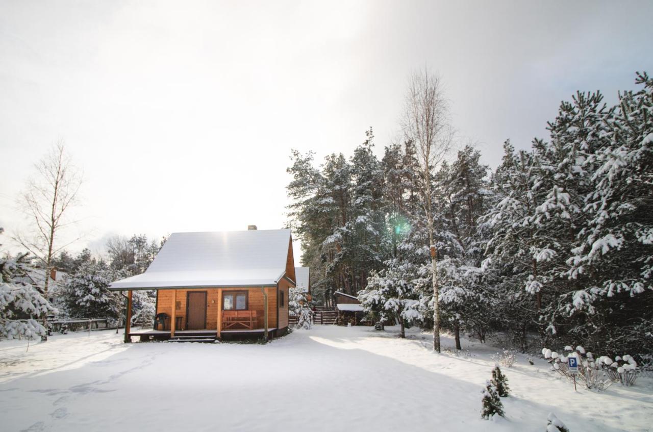 Vila Lesna 21 Dom Polnoc Przy Zalew Siemianowka Luka Exteriér fotografie