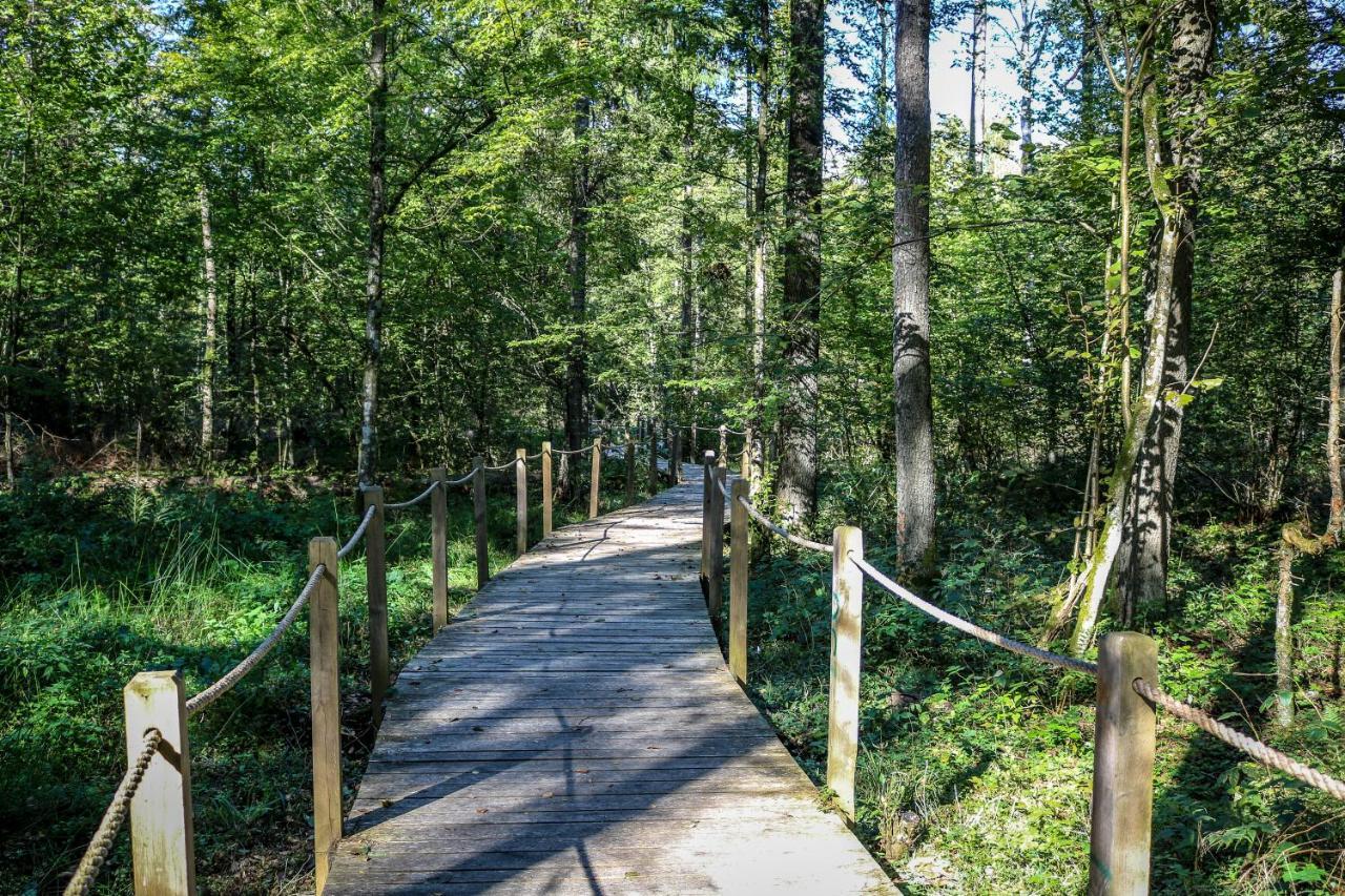 Vila Lesna 21 Dom Polnoc Przy Zalew Siemianowka Luka Exteriér fotografie