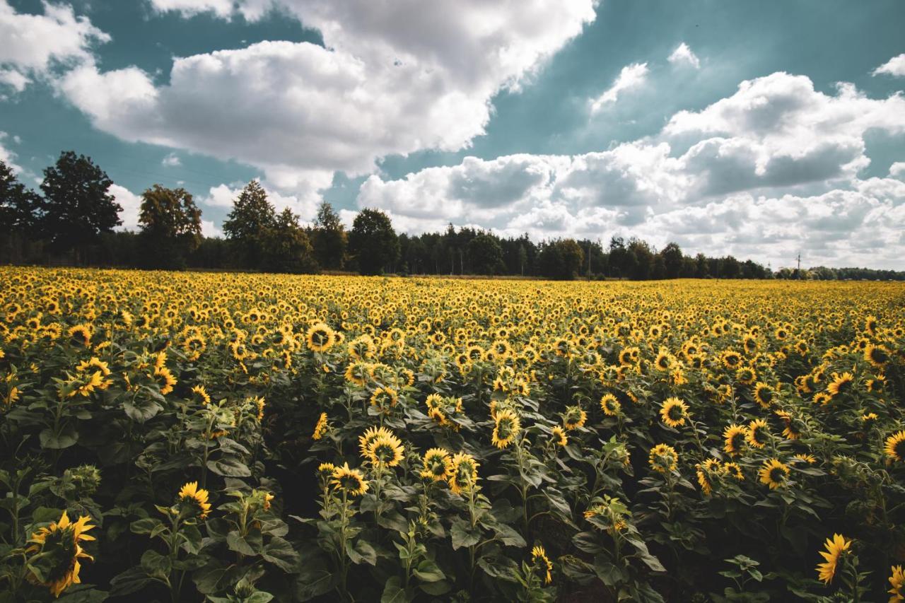 Vila Lesna 21 Dom Polnoc Przy Zalew Siemianowka Luka Exteriér fotografie