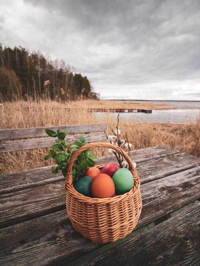 Vila Lesna 21 Dom Polnoc Przy Zalew Siemianowka Luka Exteriér fotografie